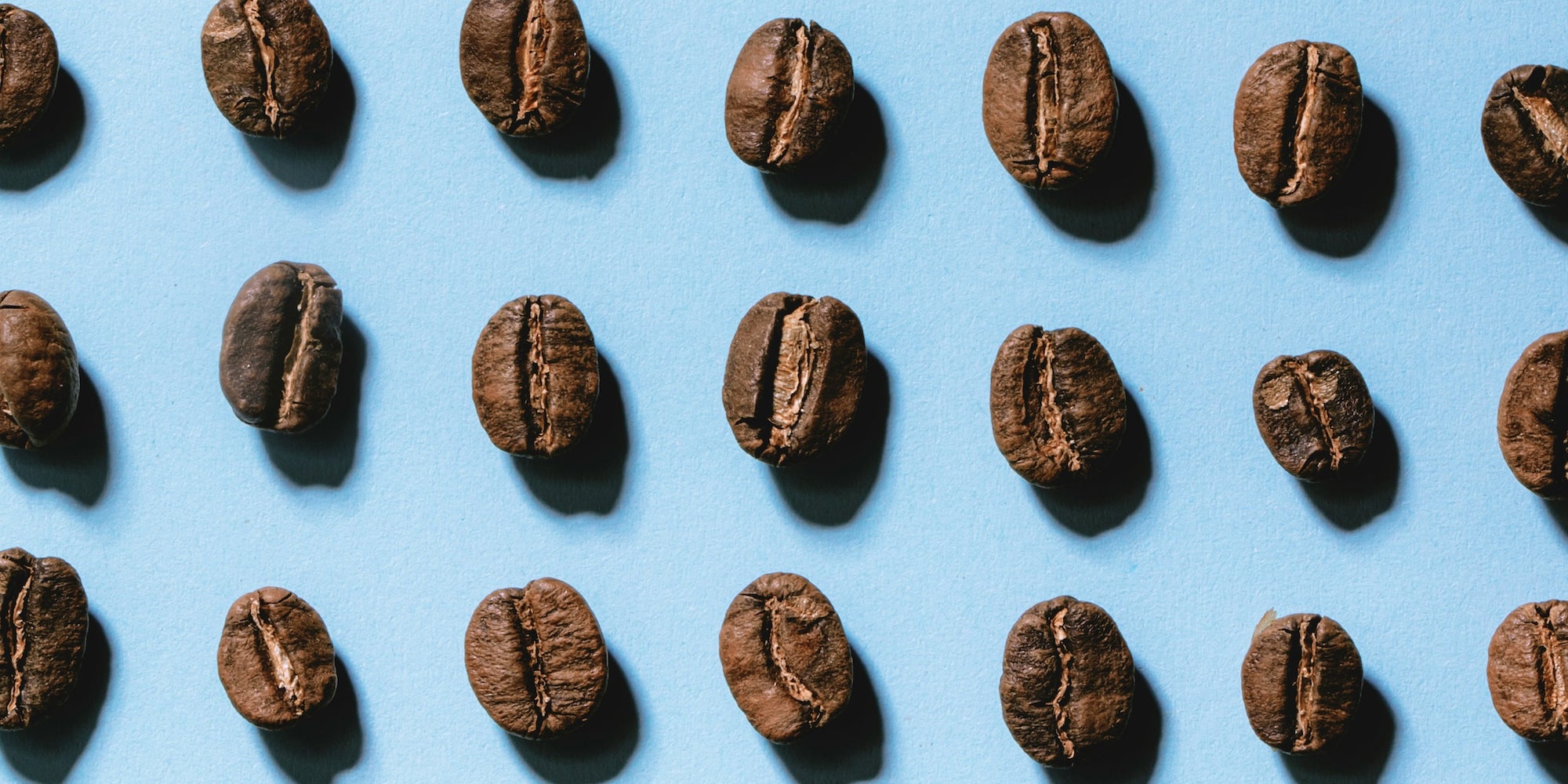 Close-up of air-roasted coffee beans from Gigawatt Coffee Roasters arranged neatly on a vibrant blue background.